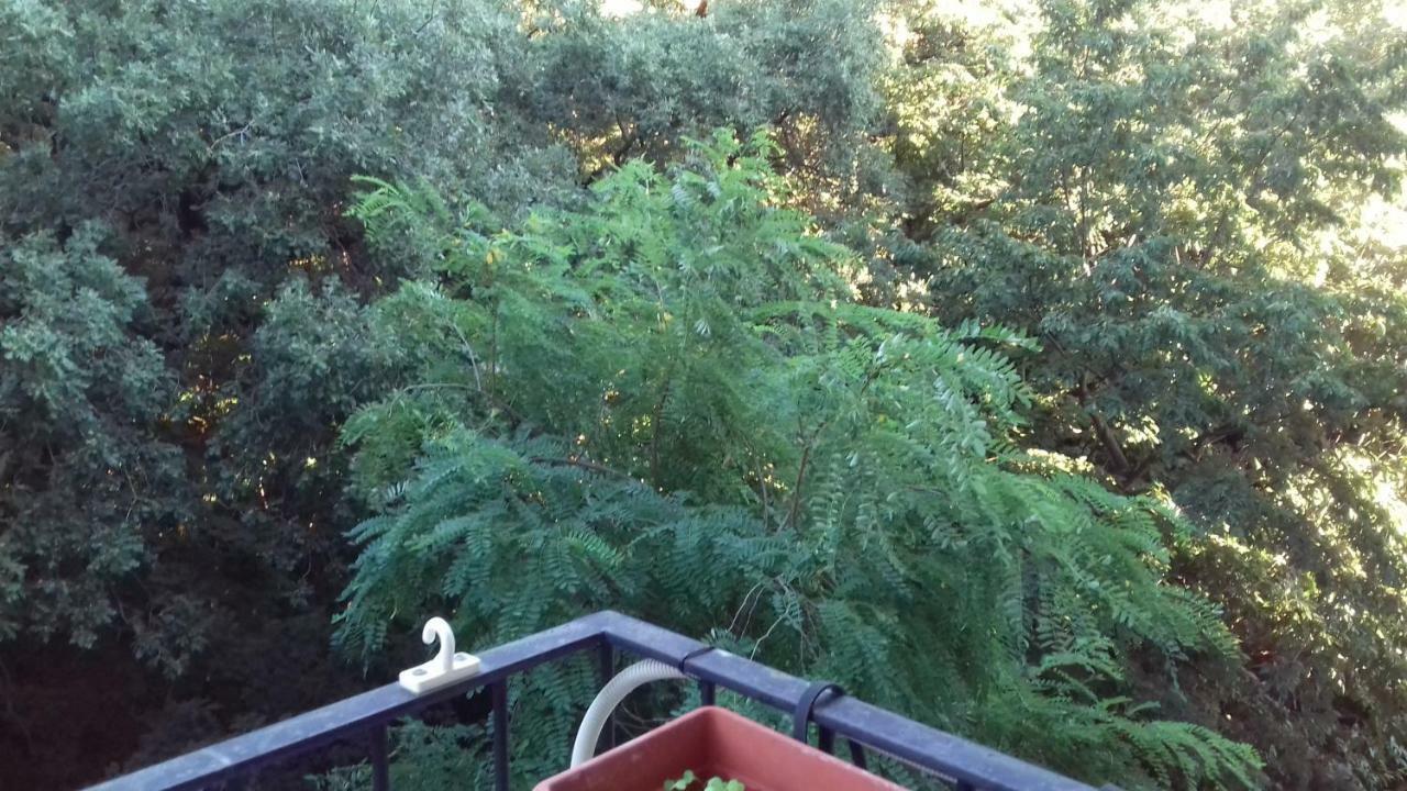 Casarcobaleno Apartman Trieszt Kültér fotó